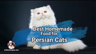 Best Homemade Food for Persian Cats