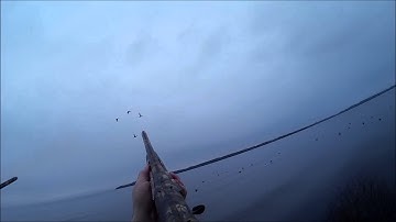 duck shooting lough neagh 16 01 16