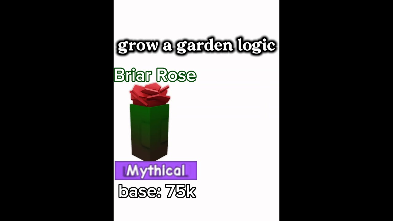 briar rose vs rosy Delight 