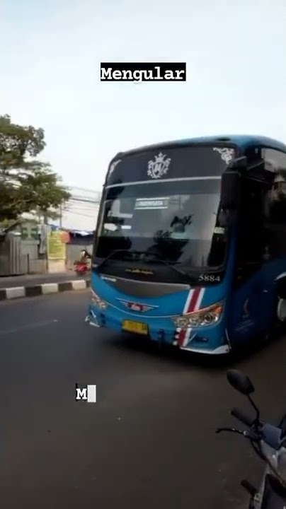 STORY WA BUS DAMRI 5884 'SEMAR MESEM' TELOLET MENGULAR🐍🐍🐍