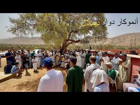 فلوق موسم أو أنموكار في دوار ديملال في تافراوت أملن