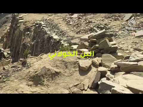 اشهر انواع البن اليمني البن الخولاني