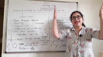 DIRECTING | Communication types and networks | Business Studies Class-12 | EcoWorld