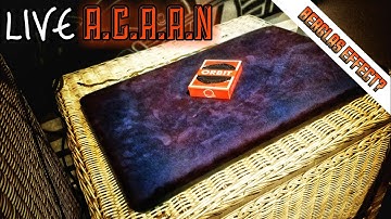 Live A.C.A.A.N Performance