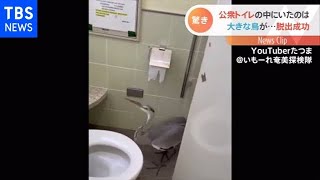 「ぶったまげた」 トイレにいた驚きの“先客”とは【Nスタ】