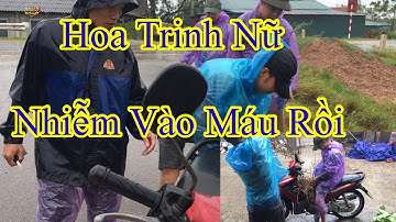 Cây Hoa Trinh Nữ - Cây Xấu Hổ - Bon Sai - Đào Vượng HV