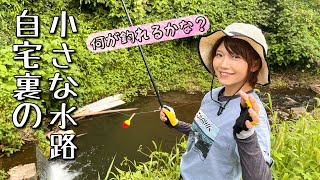 【餌代０円】小さな用水路で釣りしたら入れ食い状態！まさかのウナギ降臨‼