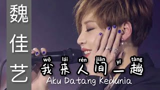 Wo Lai Ren Jian Yi Tang  我来人间一趟 - Wei Jia Yi ( 魏佳艺 ) - Lagu Mandarin Subtitle Indonesia - Pinyin