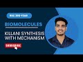 Killani synthesis | Biomolecules | BSc 3rd year | organic chemistry