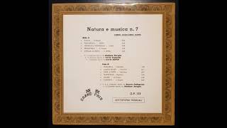 Giuliano Sorgini - Natura e Musica n.7