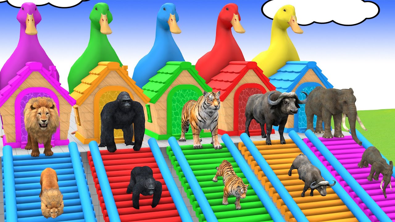 Long Slide Game With Cow Elephant Gorilla Hippopotamus Tiger - 3d Animal Game - Funny 3d Animals