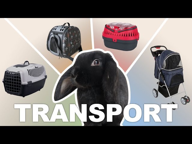 Transporter son lapin - Les cages de transport 