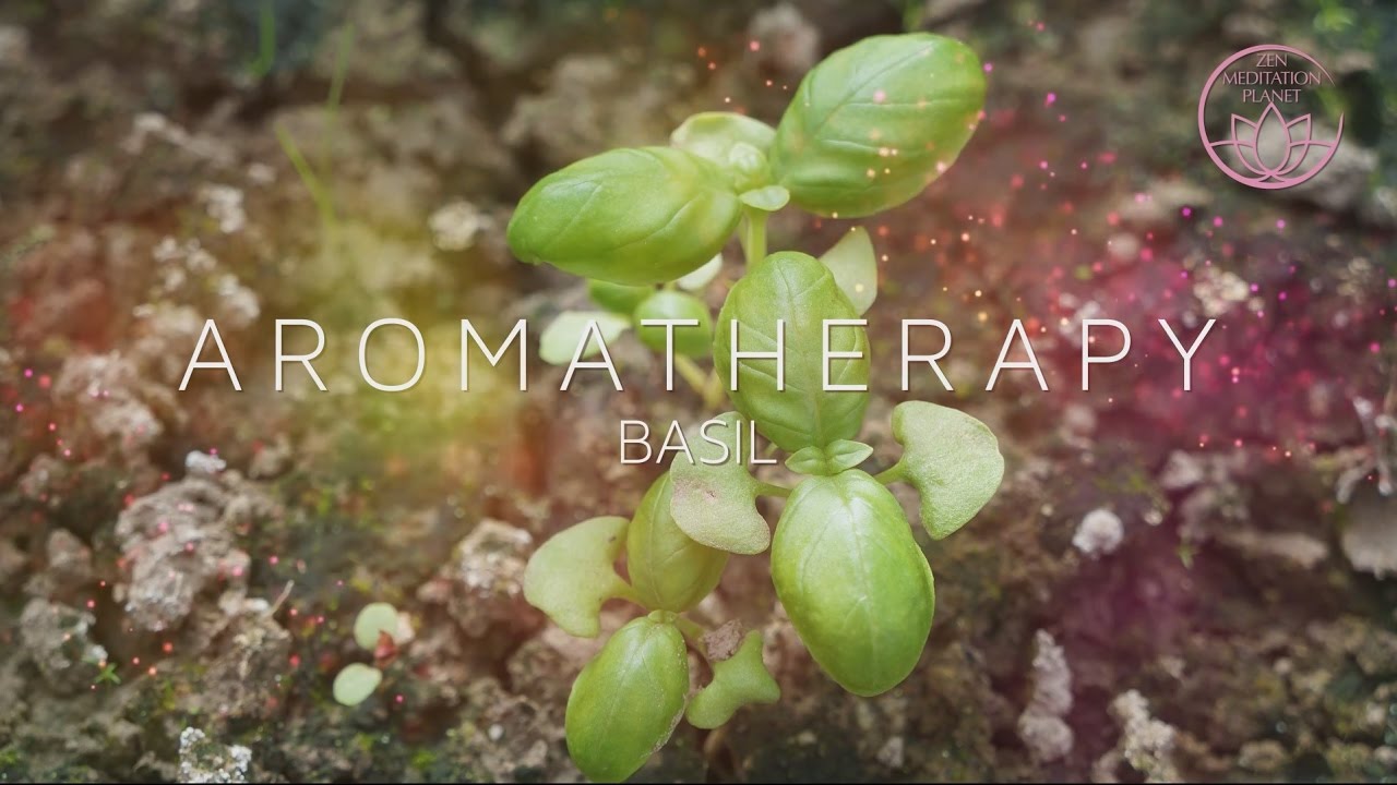 Aromatherapy Scent of Life - Basil Essential Oil, Background Instrumental Music