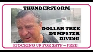 WOW! 2 DOLLAR TREE DUMSPTER DIVES: STOCKING UP FOR EMERGENCIES WITH FREE FOOD, LIGHTS, & CLEANERS!