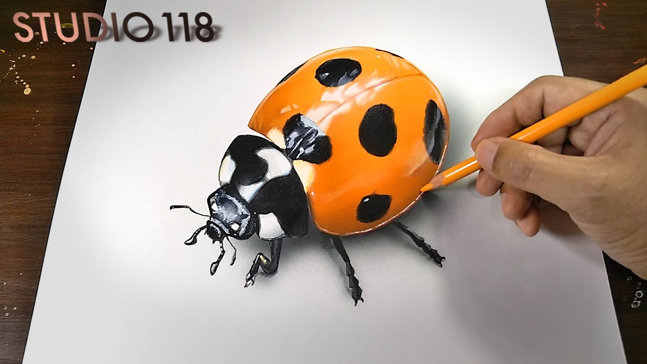 Drawing A Ladybug Realistically Illustration Making Youtube