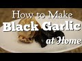 How to Make Black Garlic at Home (DIY)