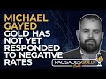 Michael Gayed: Gold Has not YET Responded to Negative Rates