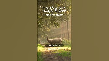 Surah Al-Anbiya 78 - Hindi/Urdu Audio |سورة الأنبياء #surahalanbiya #muslim360