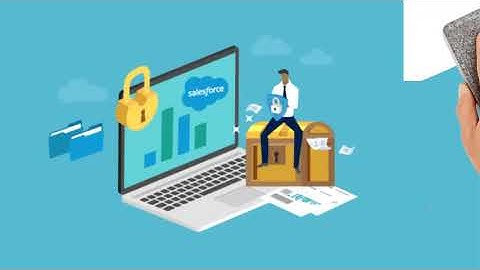 Salesforce CyberSecurity
