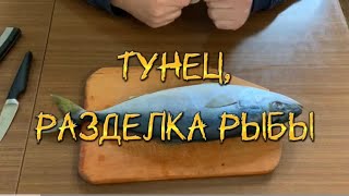 🐟 Тунец, разделка рыбы / Tuna, cutting fish / Тунець, обробка риби 🐟