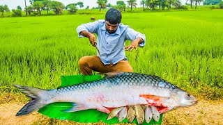 Traditional Village Style Fish Gravy Making