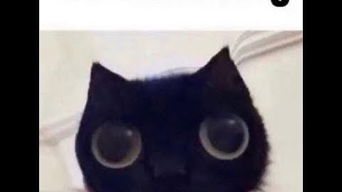 [COUNTER BLOX] First ever Mirage Window Smoke (read pin lmao)