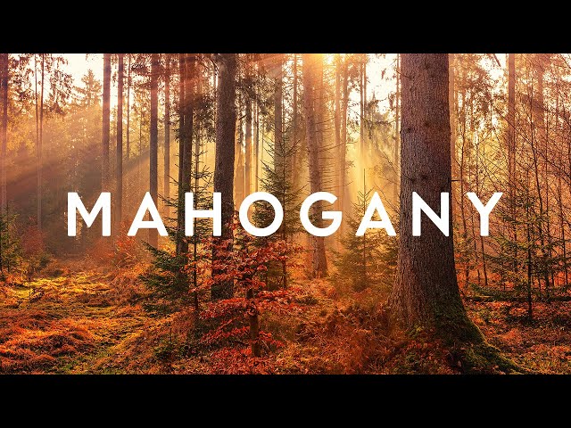 Voyageur - I Will Fight For You | Mahogany Songs class=