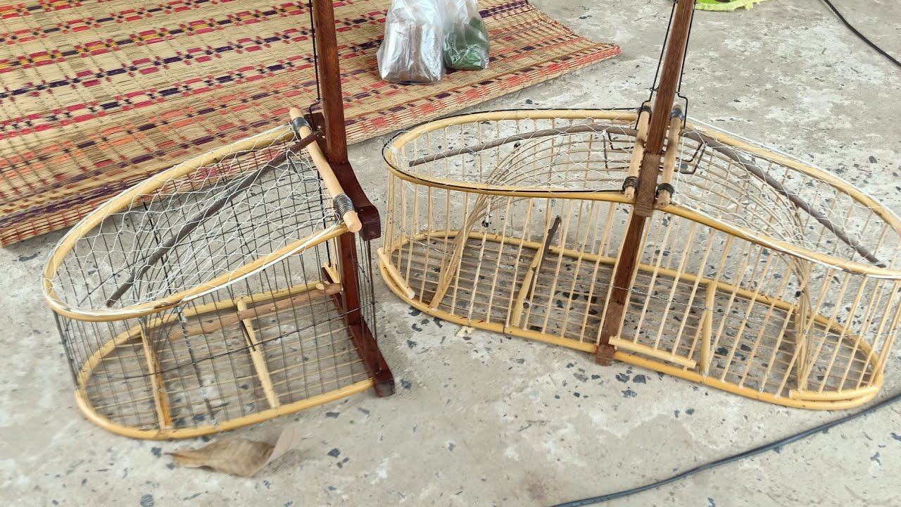 เพนียดนกขอด ข้างเดียว,สองข้าง