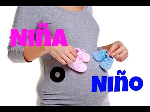 analisis