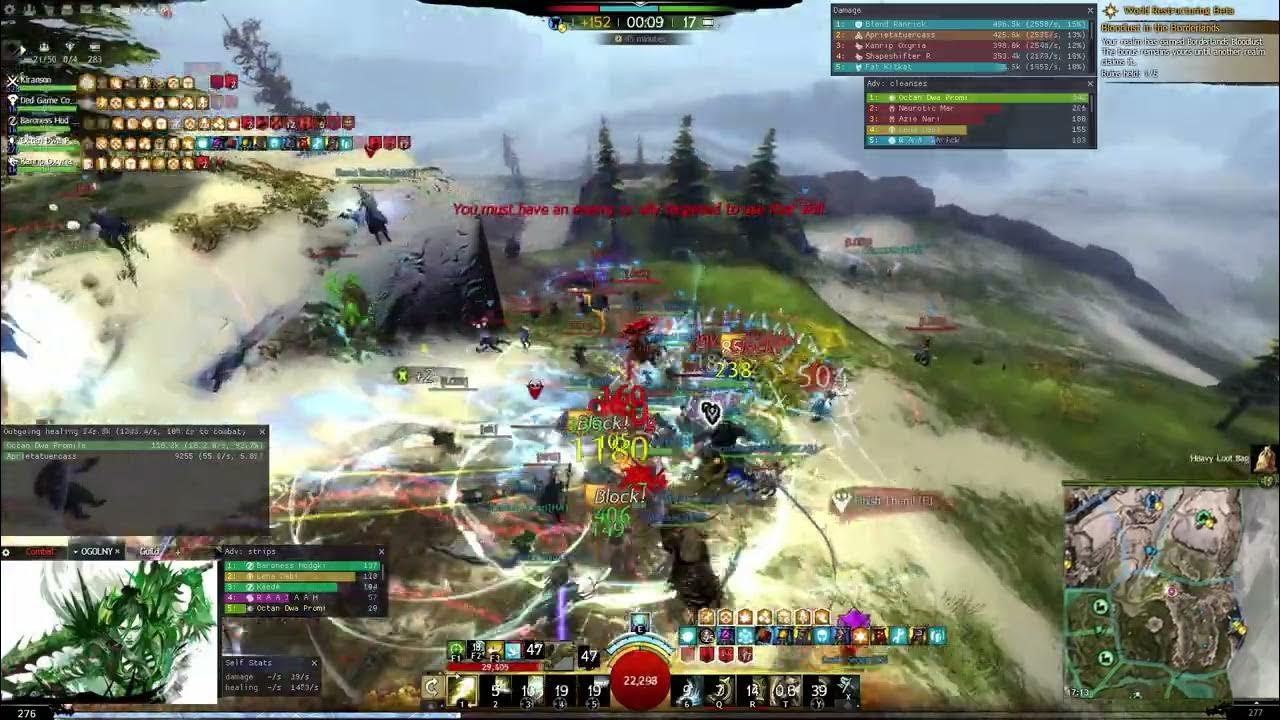 GW2 WvW Druid Healer Exploring A New Support Class during Alliance