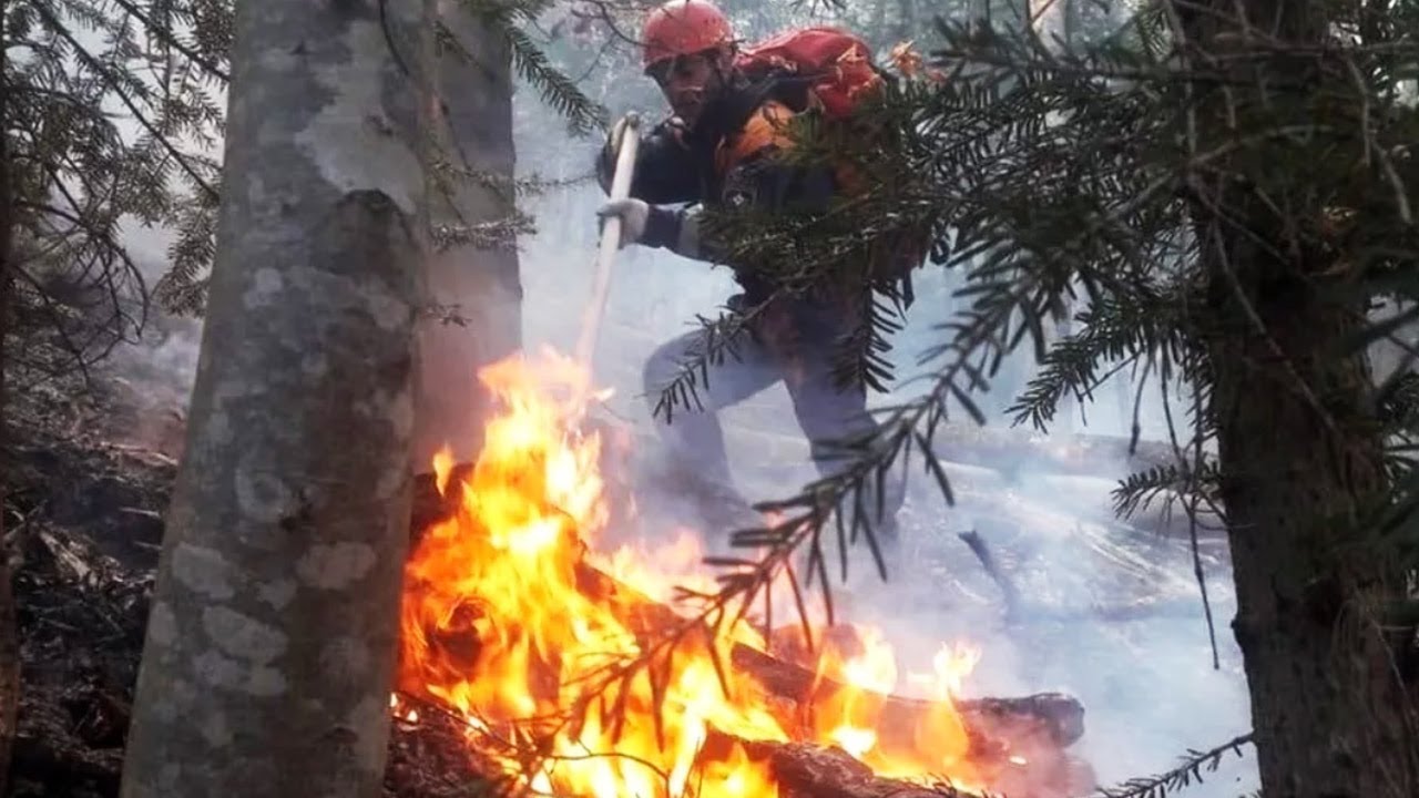 Сильный пожар охватил территорию национального парка в Карачаево-Черкесии