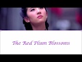GONG YUE (红梅赞 - 龚玥) Ode to the Red Plum Blossoms | Lyrics