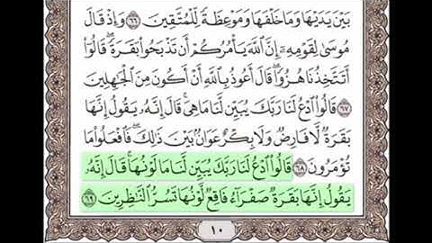 سورة البقرة من 69  - 70 مكررة خمس مرات للحفظ