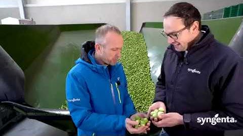 Trimstar, schitterend in schoning