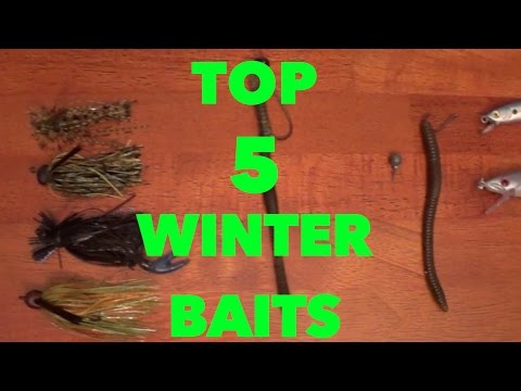 TOP 5 WINTER BASS FISHING BAITS 