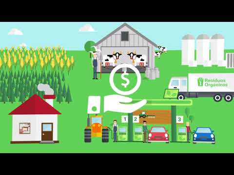Biomasa en Argentina