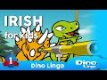 Learn  irish for kids  animals  dinolingo