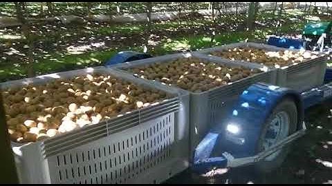 Transtak 1500L Fruit Bin Trailer