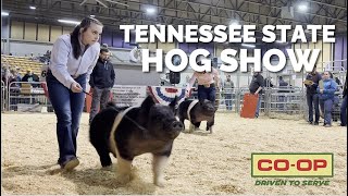 2023 Tennessee State Junior Swine Show