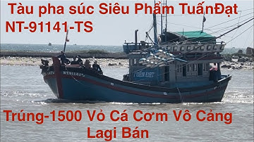 Tàu Cá Pha Súc Siêu Phẩm Tuấn Đạt-NT.91141.TS-Ninh Thuận Trúng-1500.Vỏ Cá Cơm Vô Cảng Lagi
