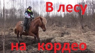 Конный туризм. В поле на кордео. Поход в лес.