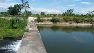 Spot Paser Ikan Dam Pandansimping Klaten