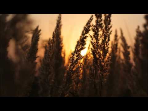 ოთარ ჭილაძე ,,წათეს წითელი წაღები''.