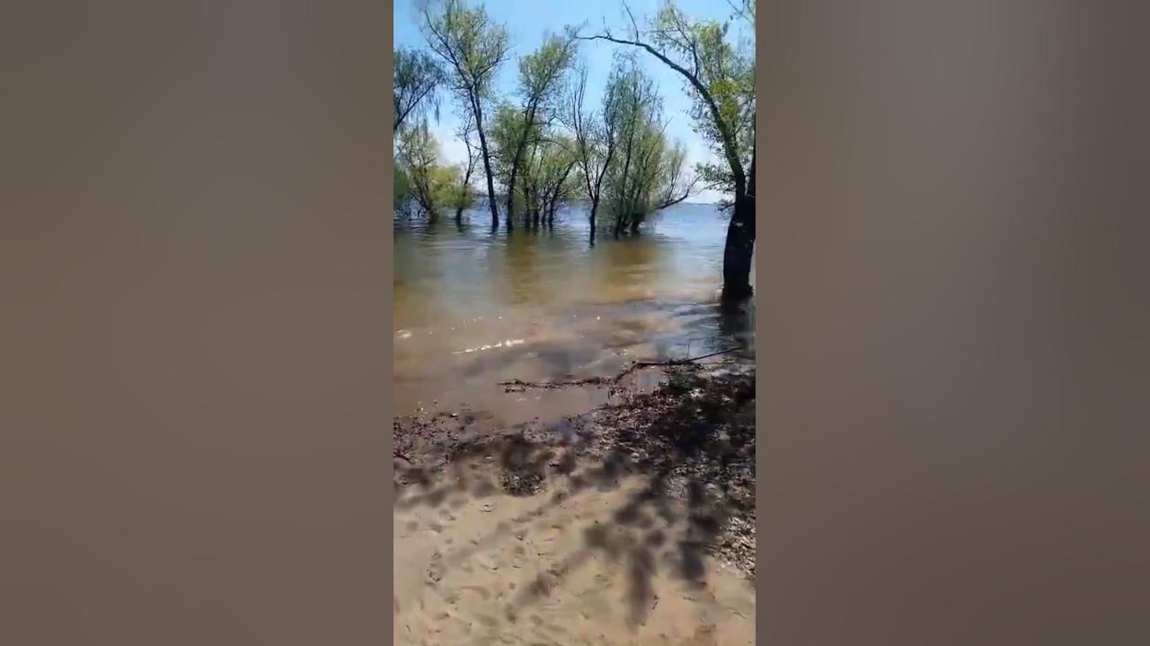 Разлив Волги #волга #волгоград #волгоградскаяобласть - YouTube