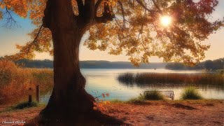 Good relaxing music, stop thinking, music to relieve stress, classical music  Mozart, Beethoven, Ch