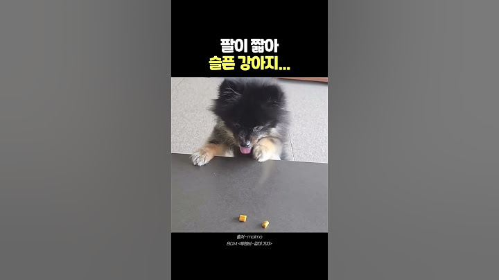 팔도 짧고 다리도 짧고 입도 짧지만 귀여우면 장땡임 #shorts #short #쇼츠 #강아지 #간식