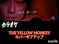 THE YELLOW MONKEYを歌いました🎤ネバーギブアップ