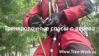 Спасение условно пострадавшего с дерева. Www.Tree-Work.ru