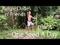 Jungle Dude &amp; Friends plant One Seed A Day from 21.04.2022 until 22.06.2022 °We plant Hope together!