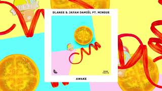 Blanee \& Jarah Damiël - Awake (ft. Mingue)